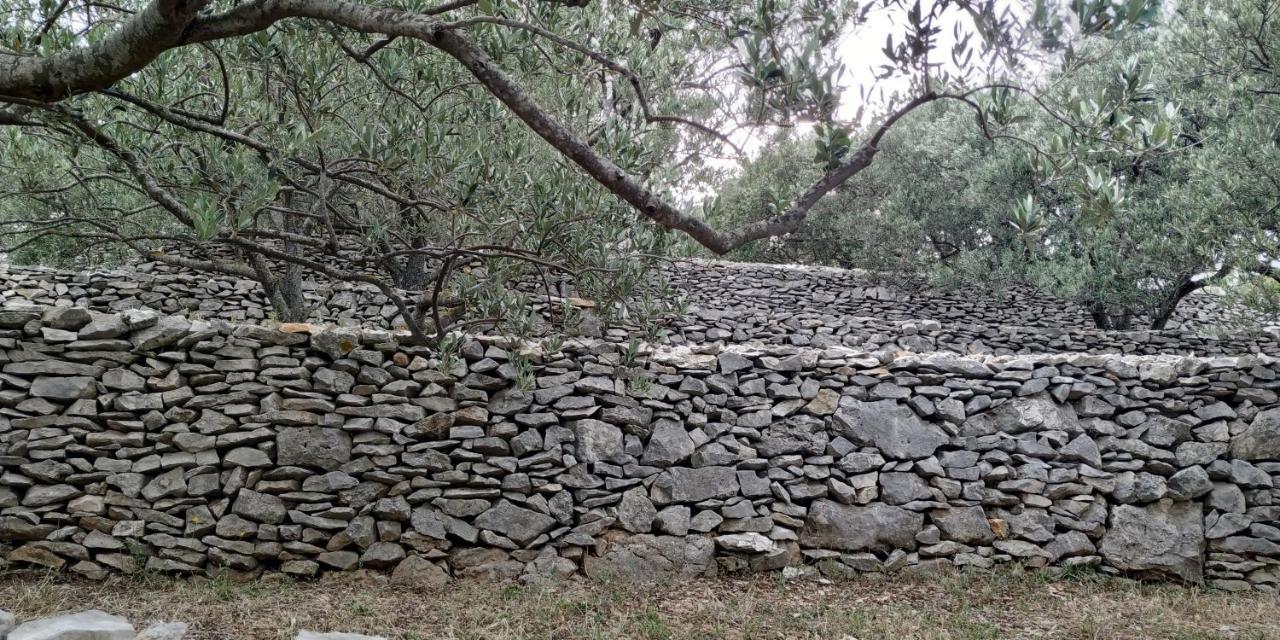 הוילה וולה לוקה House On Punta מראה חיצוני תמונה